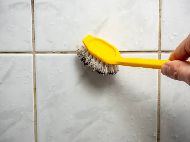 Best Mold Testing and Inspection Services in Anderson Creek, NC
